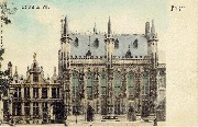 L'Hôtel de Ville Bruges- Nels - Colorized