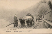 Bouillon Attelage conduit par un trappiste