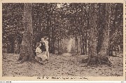 Putte. Huzarenberg met groote wandeling Putte. Huzarenberg met groote wandeling