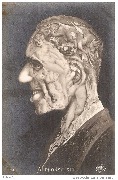 Alphonse XIII  (Arcimboldesque)
