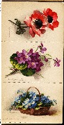Fleurs de France. Etudes de Klein 12 cartes à colorier Album 1 