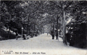 Louvain. - Parc St Donnat - L'Allée des Vieux