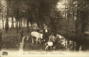 Woluwe-Saint-Lambert. Vallée de la woluwe. Vache, chèvre