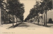 Forest Avenue du Moulin