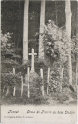 Forest - Croix de Pierre du bois Duden
