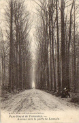 Tervueren. - Avenue vers la porte de Louvain