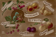 Langage des fruits