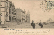 OOSTDUINKERKE-Bains. Avenue Léopold II.(**)