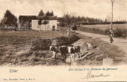 Tillet, Les vaches à la Fontaine de Gérimont