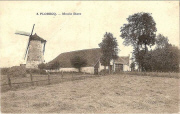 Flobecq. Moulin Blanc