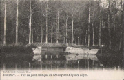 Boitsfort. - Vue du pont rustique de l'étang des enfants noyés