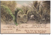 Boma ,Banana, avenue des Palmiers