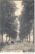 Tirlemont. Boulevard Léopold