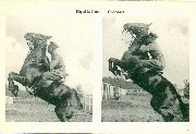 Equitation Cabrades
