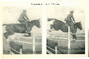 Equitation Sauts d'obstacles(2)