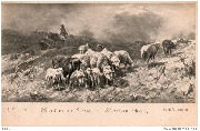 21 Moutons en Ecosse  - Christian Mali