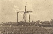 Eeckeren-De verdween windmolen van het Hagelkruis(genomen 1899)