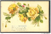Sainte Marie-Roses jaunes