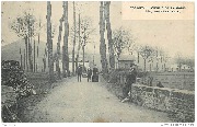 Torgny. Avenue de la Gare