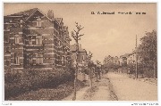 Watermael-Avenue de Tercoigne