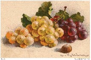 Raisin blanc, raisin noir et noisette