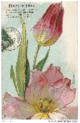 Fleurs de Fête (Tulipes)