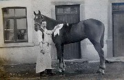 Un homme pansant son cheval