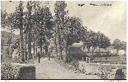 Torgny. Avenue de France