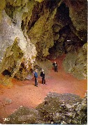 Parc National de Furfooz-Trou des Nutons-Caverne préhistorique
