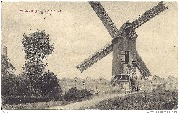 Wervicq. Le moulin 