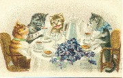 Chats assis à une table à l'heure du thé?