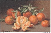 Nature morte aux oranges