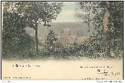 Vallée de la Lesse Sous bois au  château de Celles(colorisée)