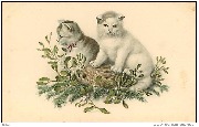 2 chatons sur un panier entouré d'une branche de gui