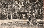 Champignon près du Chalet des Rossignols au bois de la Cambre 