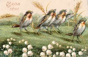 Bonne Fête(série de quatre oiseaux entrourés de brins de blé et muguets )