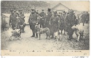 1914-15... Départ de chiens ambulanciers pour le front - Ambulancier dogs...