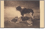 Musée Charlier. Joseph Stevens (1816-1892) Pauvres chiens !