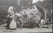 Laitières flamandes