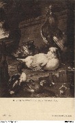 M. D'Hondecoeter. Le Chant du Coq  Musée de Bruxelles
