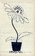 Coloprint, fleur dans un pot, impasse val des roses, bottin 1946