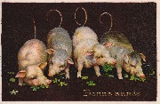 Bonne Année (quatre cochons 1922)