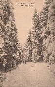  Sart-lez-Spa. Février 1924 - Chemin vers la Hoëgne