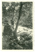  La Hoëgne - Chêne Rustique