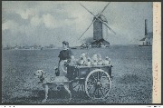 Laitière flamande (avec moulin)