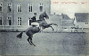 Ypres. Ecole d Equitation - Cabrade