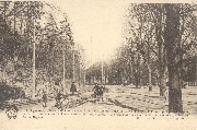 Spa. Boulevard des Anglais - La Belgique Historique