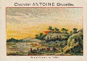 Chocolat Antoine Bruxelles  Maison fondée en 1850 La Campine dunes de Calmphout n°46