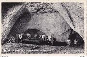 Folx-Les-Caves. Grandes champignonnières Salle du Tigre et préparation des couches