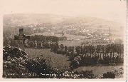 Nismes Panorama de la Roche à Lomme